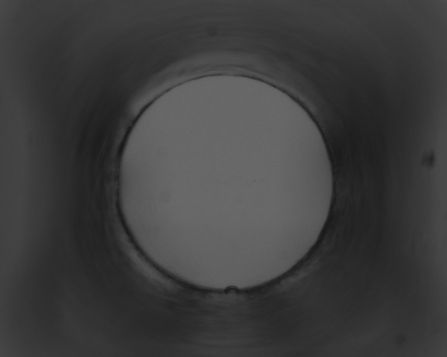 X0000091881526200710031111