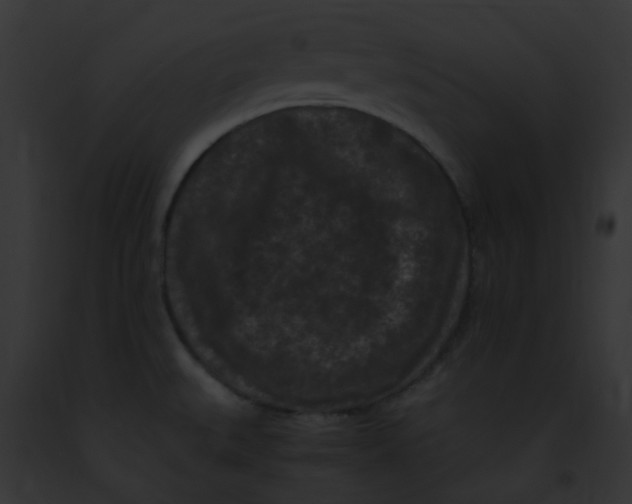 X0000091881527200710031111