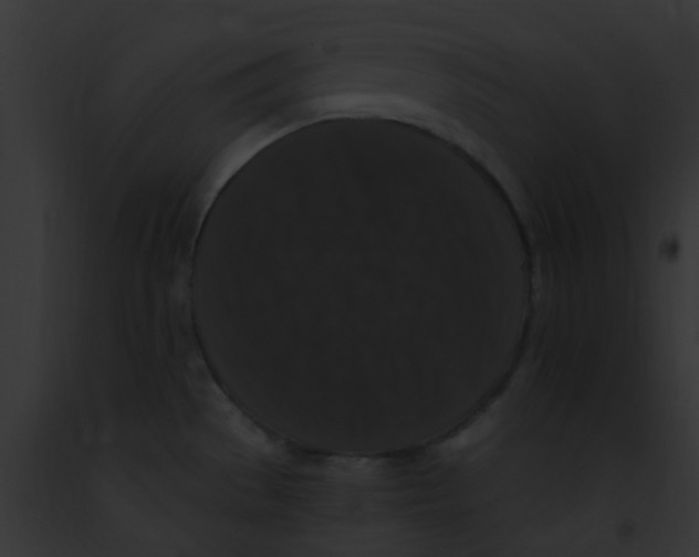 X0000091881529200710031111