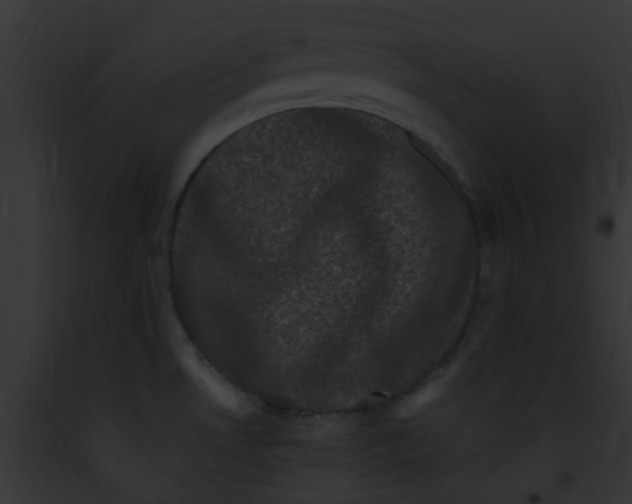 X0000091881530200710031111