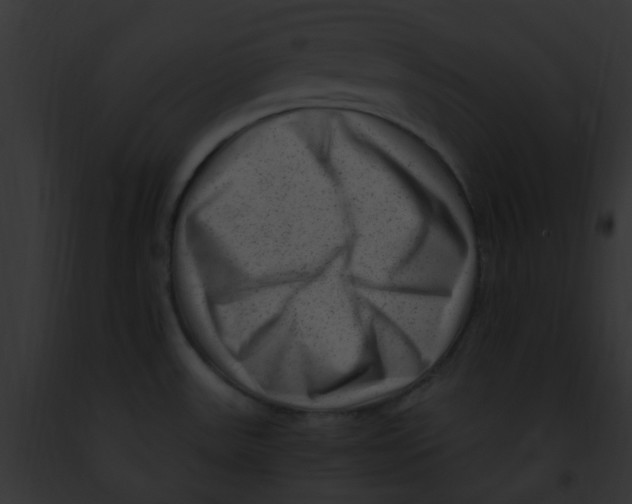 X0000091881531200710031111