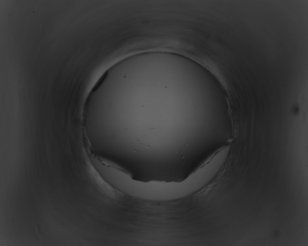 X0000091881532200710031111