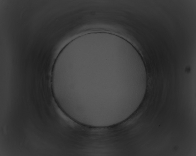 X0000091881535200710031111