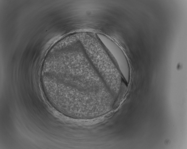 X0000091880001200710031751