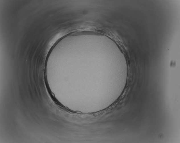 X0000091880003200710031751