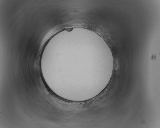 X0000091880004200710031751