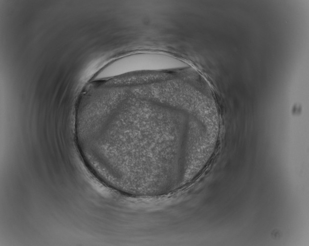 X0000091880005200710031751