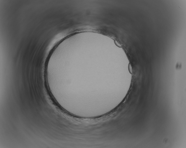 X0000091880006200710031751