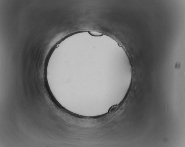 X0000091880008200710031751