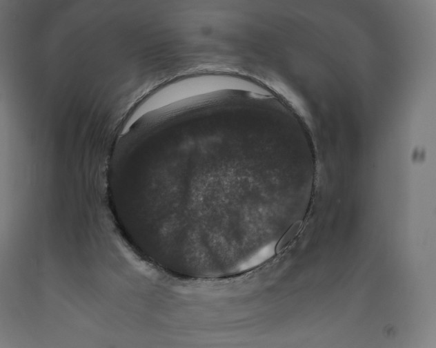 X0000091880009200710031751