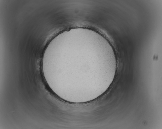 X0000091880010200710031751