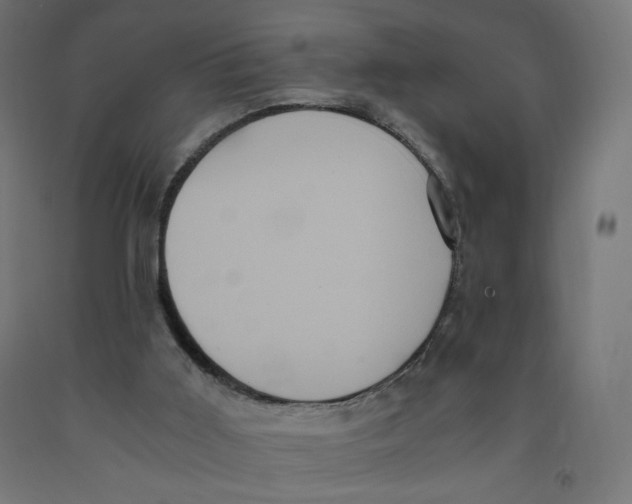 X0000091880011200710031751