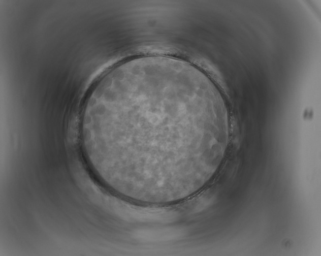 X0000091880012200710031751