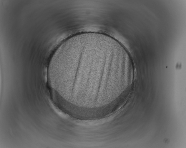 X0000091880013200710031751