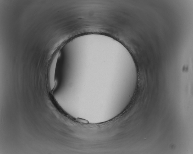 X0000091880015200710031751