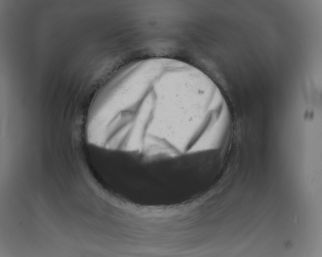 X0000091880018200710031751