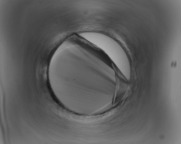 X0000091880019200710031751