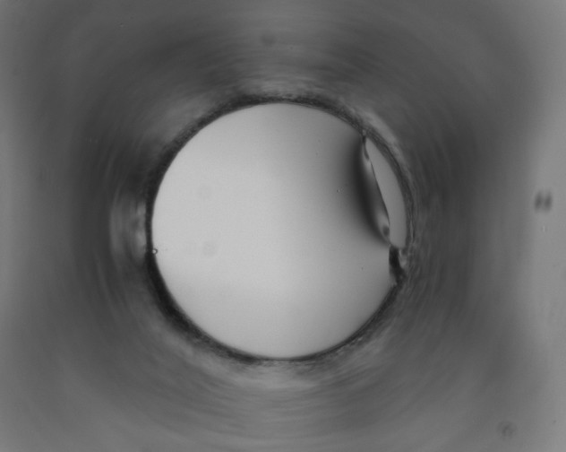 X0000091880020200710031751