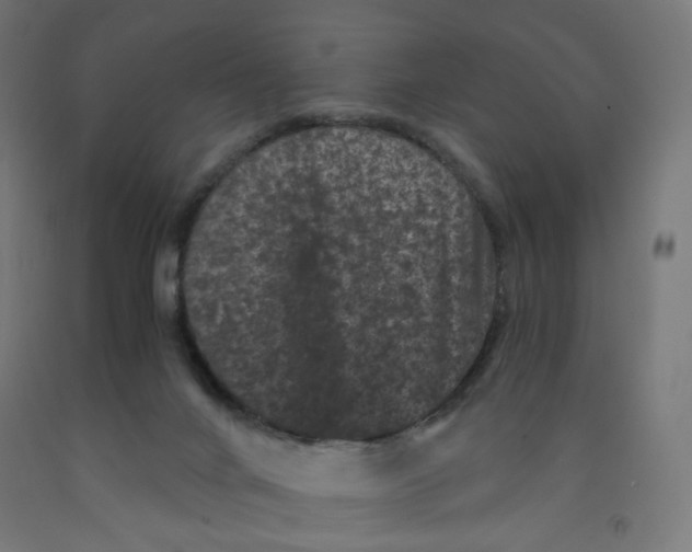 X0000091880024200710031751