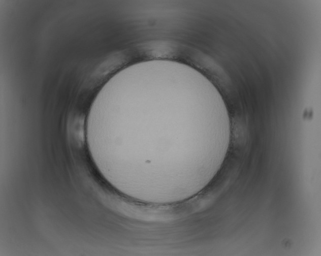 X0000091880028200710031751