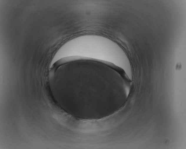 X0000091880029200710031751