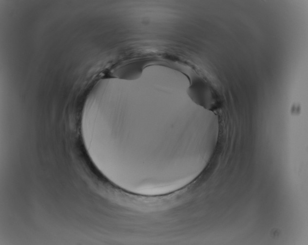 X0000091880031200710031751