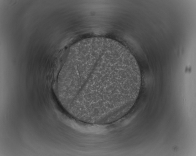 X0000091880032200710031751