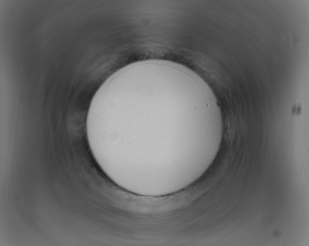 X0000091880034200710031751