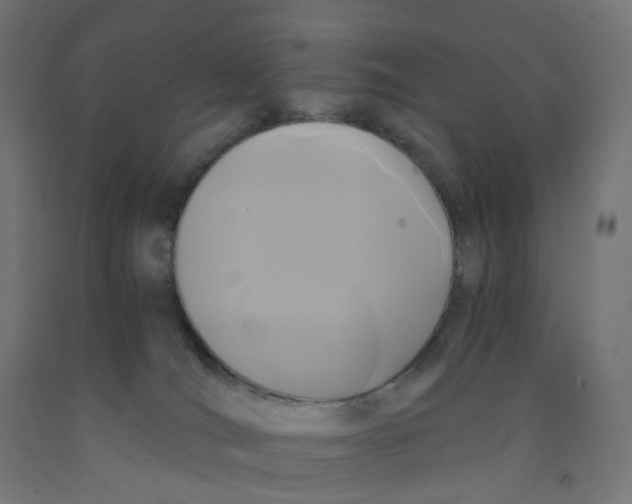 X0000091880036200710031751