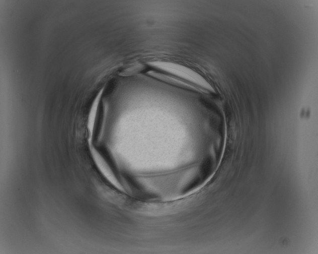 X0000091880037200710031751