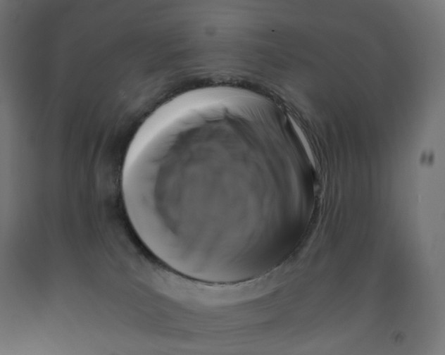 X0000091880039200710031751