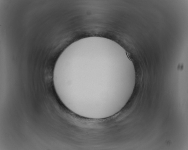 X0000091880040200710031751