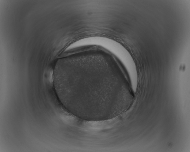 X0000091880041200710031751