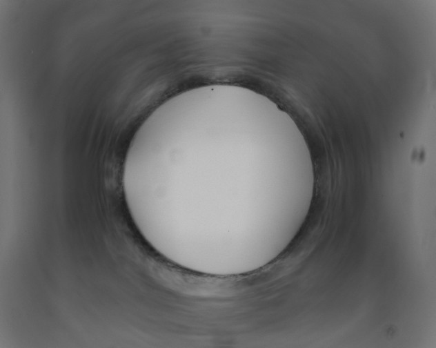 X0000091880044200710031751