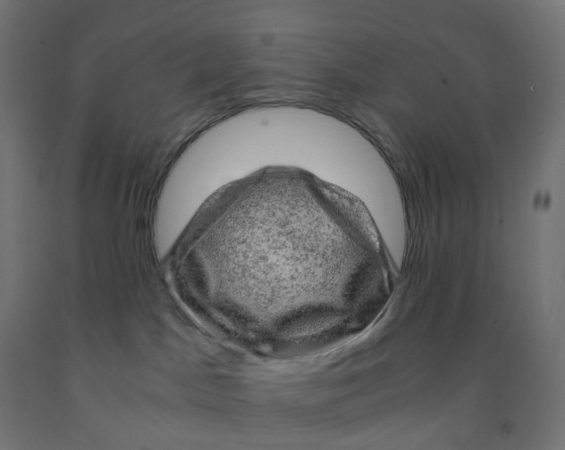 X0000091880045200710031751