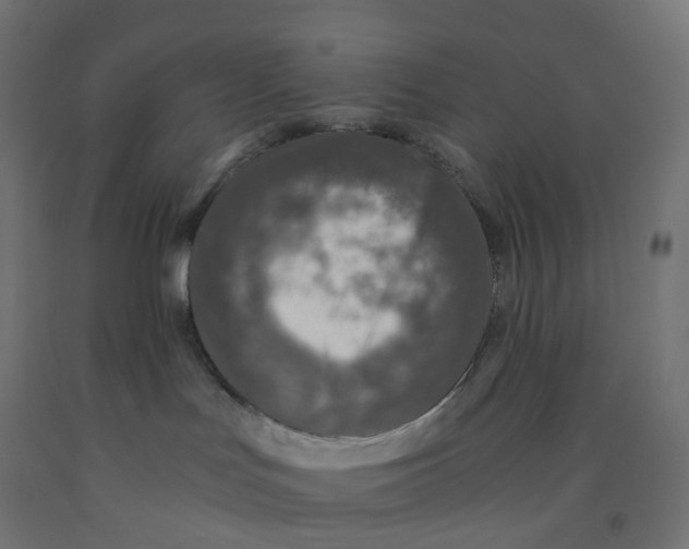 X0000091880047200710031751