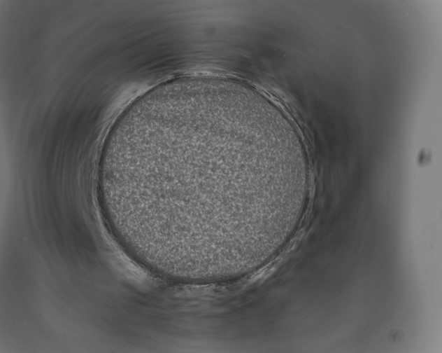 X0000091880049200710031750