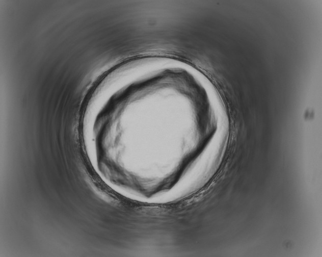 X0000091880050200710031750