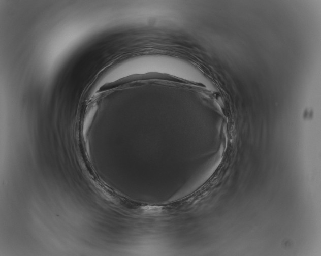 X0000091880052200710031750