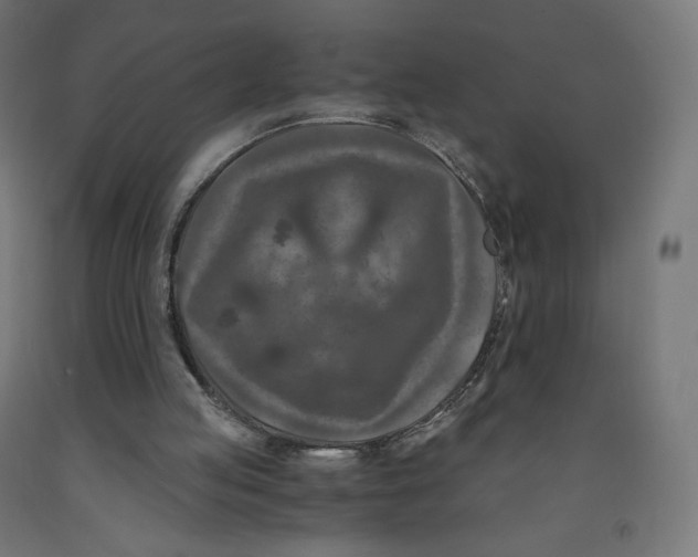 X0000091880053200710031750