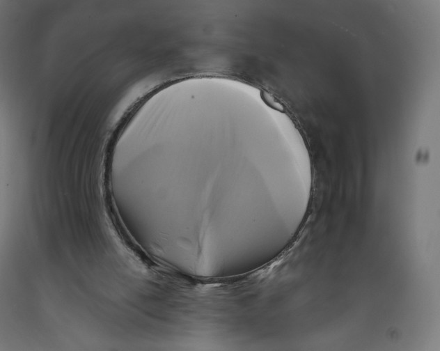 X0000091880054200710031750