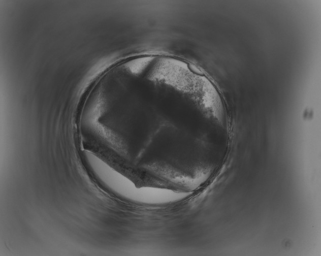 X0000091880055200710031750