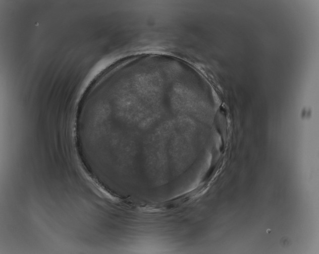 X0000091880056200710031750