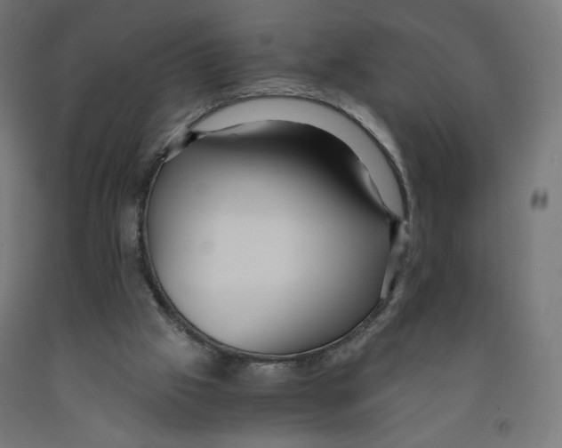 X0000091880057200710031750