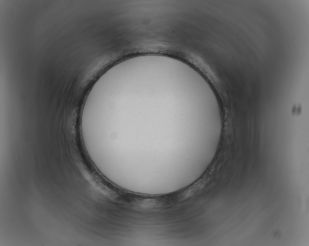 X0000091880058200710031750