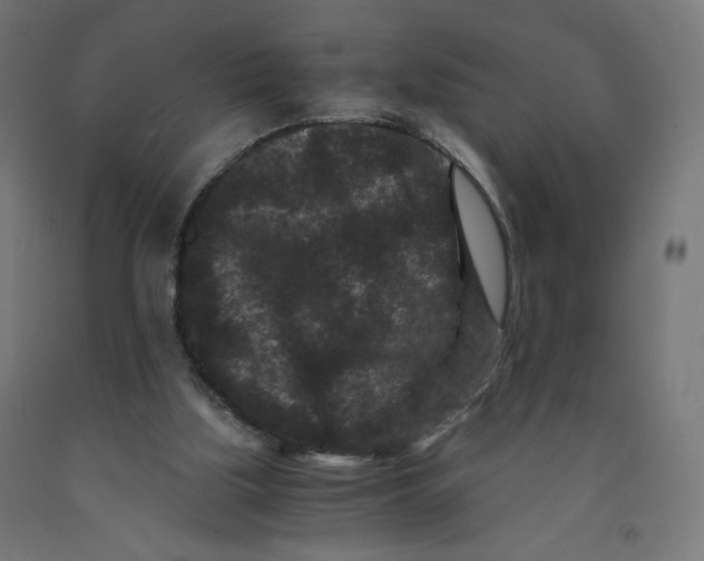 X0000091880059200710031750