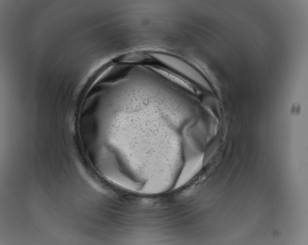 X0000091880060200710031750