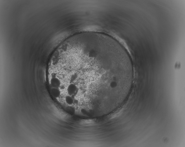 X0000091880061200710031750