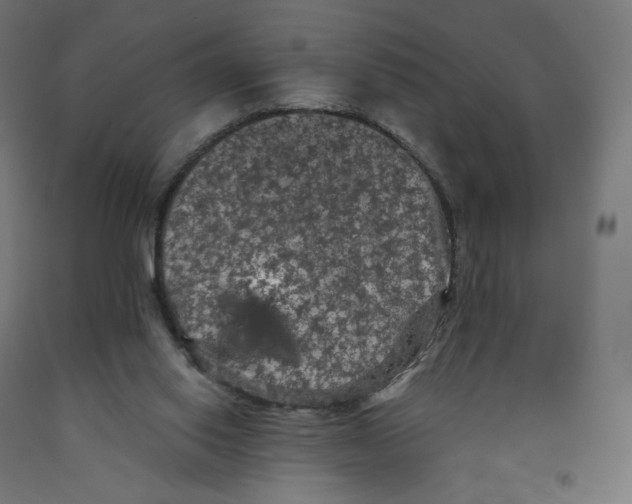 X0000091880062200710031750