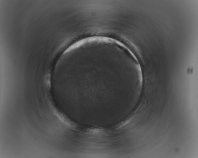 X0000091880067200710031750